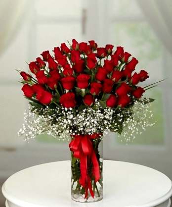 Aşkıma 50 Kırmızı Güller