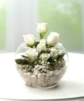 Cam Fanus Beyaz Güller