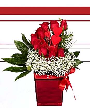 Aşkıma Kırmızı Güller