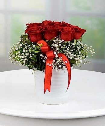 Kırmızı Ayar Güller