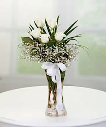 Masum Aşk Beyaz Güller