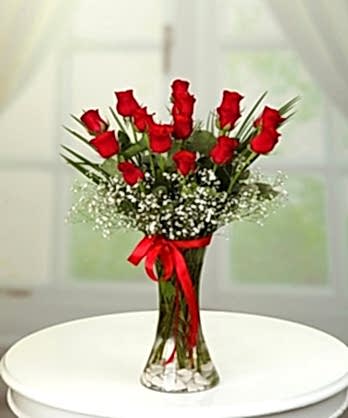 Sevgi Dolu  Kırmızı Güller