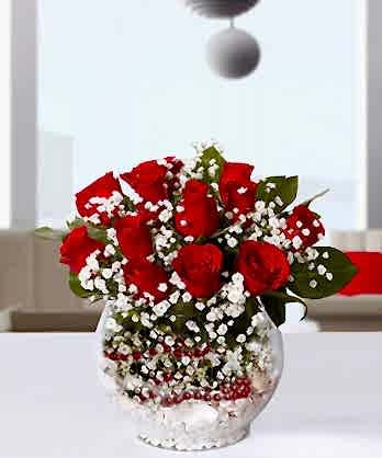 Sevgi Küresi Güller