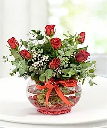 Akvaryum Cam Kırmızı Güller