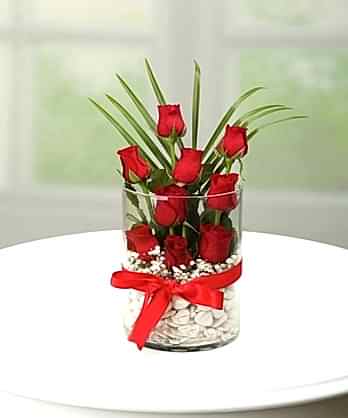 Asetat Vazo 9 Kırmızı Güller