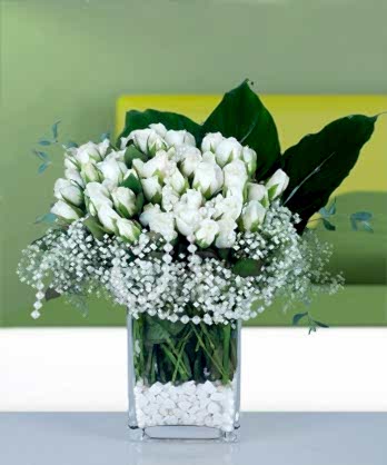 Kare Camda 30 Beyaz Güller