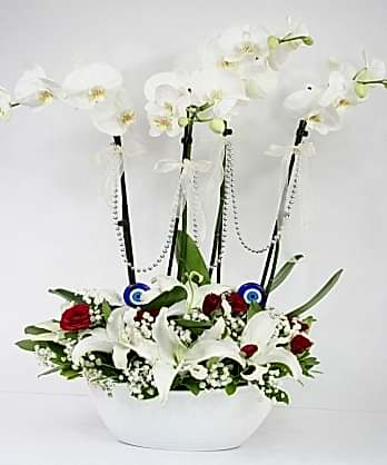 Asaletin Simgesi Asaletin Simgesi