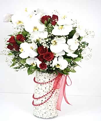 Beyaz Orkideler Kırmızı Güller