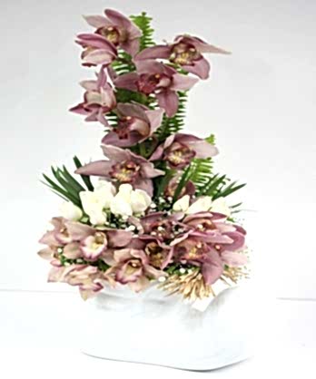 Özel Orkide Aranjman