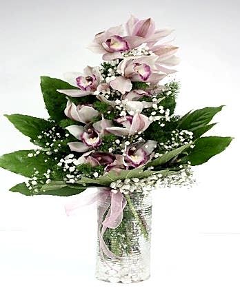 Kesme Orkide Aranjman