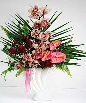 Orkide Antoryum Gül