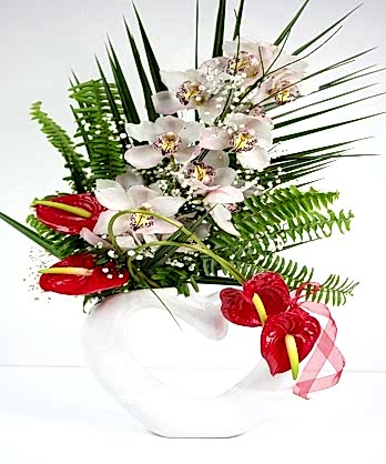 Orkideler Antoryumlar