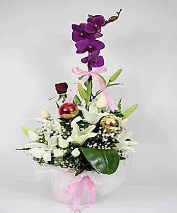 Hayatımdaki Varlığın İçin Hayatımdaki Varlığın İçin