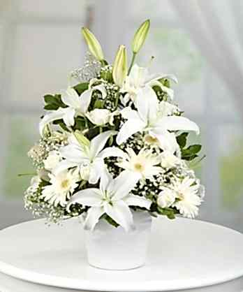 Zarif Beyaz Kuğu Aranjman