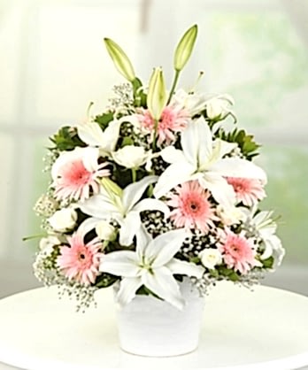 Zarif Pembe Beyaz Aranjman