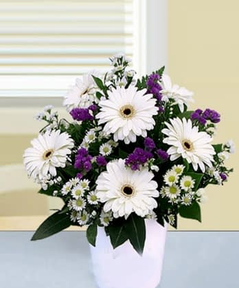 Sevginiz Kadar Masum