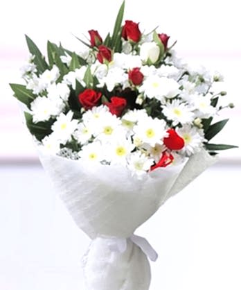 Kırmızı Güller Papatyalar