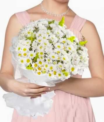 Kucak Dolusu Papatya