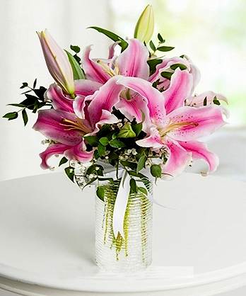 Pembe Lilyum Zarafeti