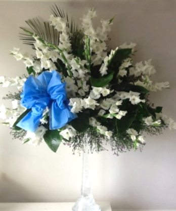 Beyaz Zambak Fil Ayağı