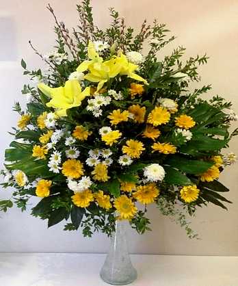 Standart Sarı Beyaz Fil Ayağı