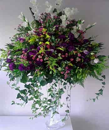 Naturel Renkli Fil Ayağı