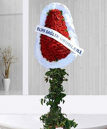 Büyük Ayaklı Sepet