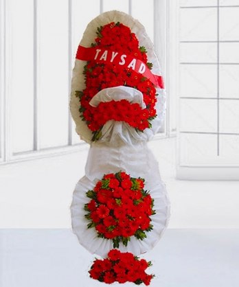 Üçlü Ayaklı Sepat