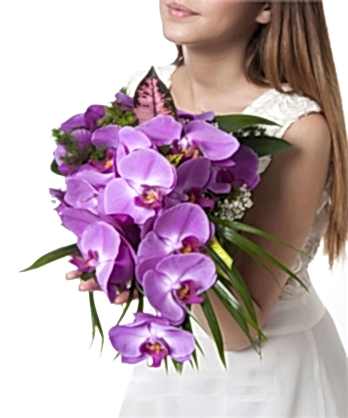 Sarkık Mor Orkide Gelin Buketi
