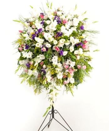 Renk Karnavalı Ferforje