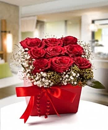 Kırmızı Gülllerin Büyüsü