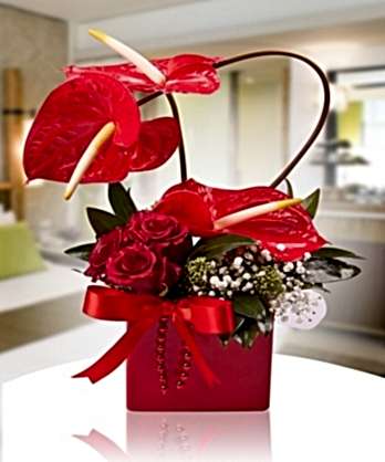 Aşk Küresi Sevgiliye