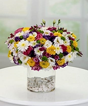 Renklerin Cümbüşü