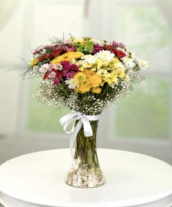 Rengarenk Kır Çiçekleri