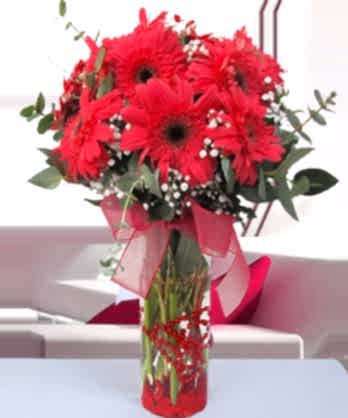 Silindir Vazo Kırmızı Gerbera