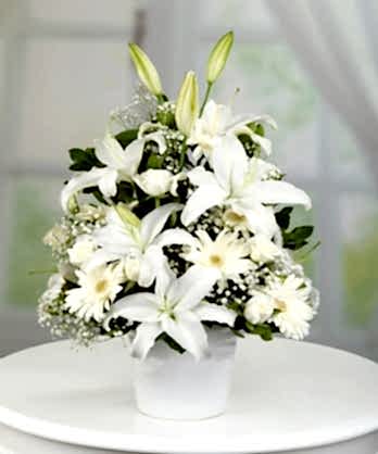 Zarif Beyaz Kuğu Aranjman