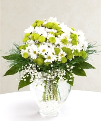 Kalpte Papatyalar Kalpte Papatyalar