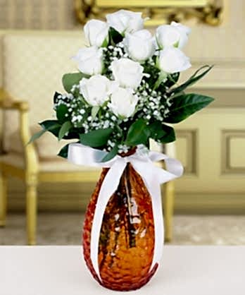 Beyaz Güllerin İhtişamı Beyaz Güllerin İhtişamı