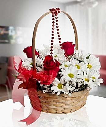 Sepette Papatyalar Güller