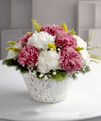 Cam Kasede Karanfiller