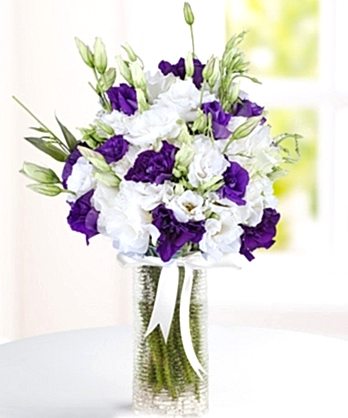 Mor Beyaz Lisyantuslar Mor Beyaz Lisyantuslar