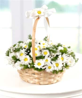 Hasır Sepette Papatyalar