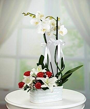 Orkide Kırmızı Güller Lilyumlar