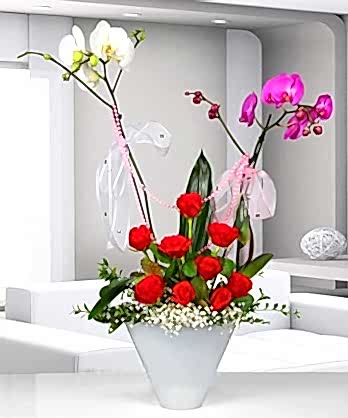 Orkideler Güller Sevgi Seli