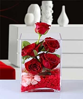 Asetat Vazoda Kırmızı Güller