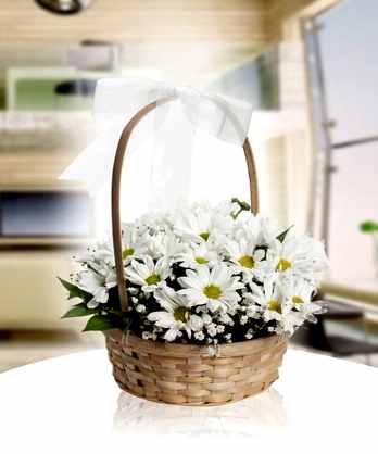 Şirin Papatya Sepeti