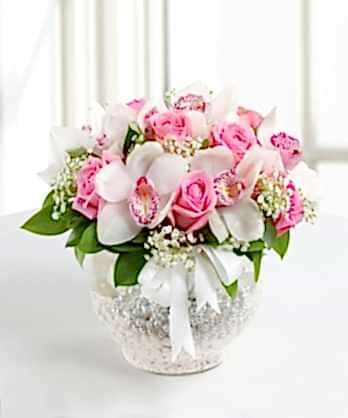 Gönlümün Sultanı