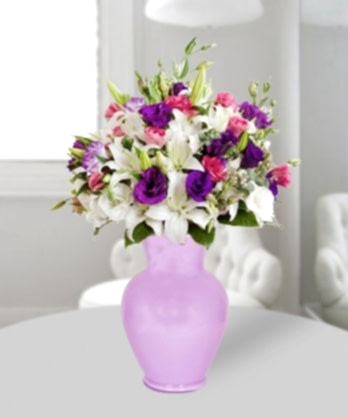 Baharın Renkleri Baharın Renkleri