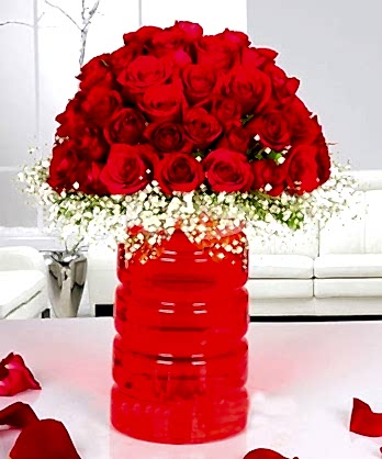 Büyük Aşk 51 Kırmızı Gül