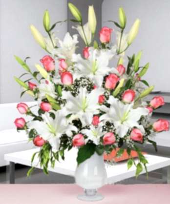 Büyülü Pembe Güller Lilyumlar